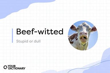 wotted definition